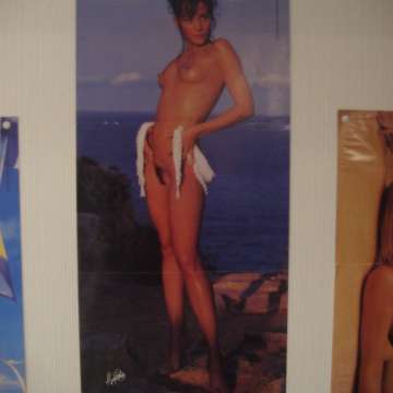 Bild_15
